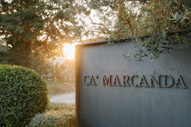 Trent'anni a Bolgheri: la storia di Ca' Marcanda raccontata da Giovanni Gaja