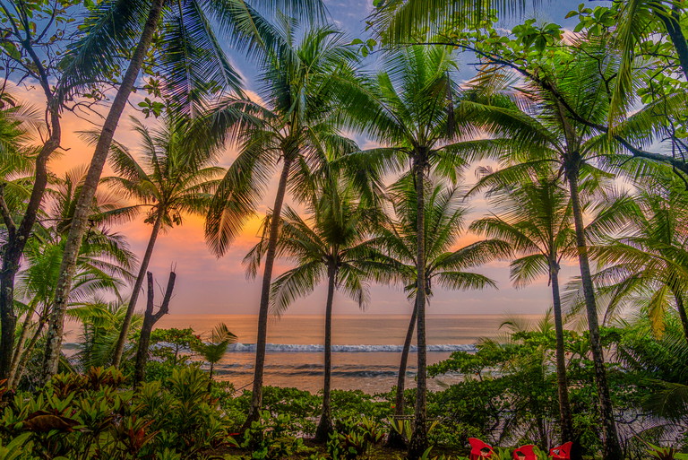Der Corcovado-Nationalpark im Sonnenuntergang