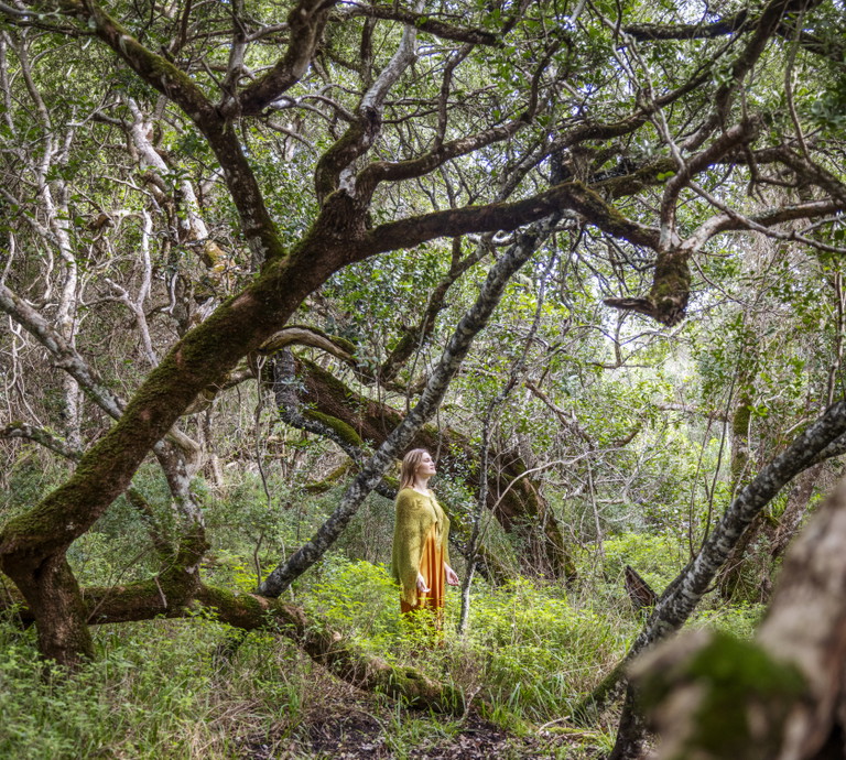 Grootbos Private Nature Reserve