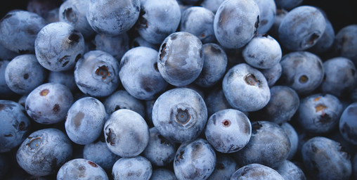 Heidelbeeren richtig lagern: So bleiben sie länger frisch und prall