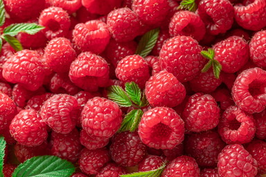 Himbeeren: Alles über die süßen Früchte, ihre Saison und die besten Rezepte