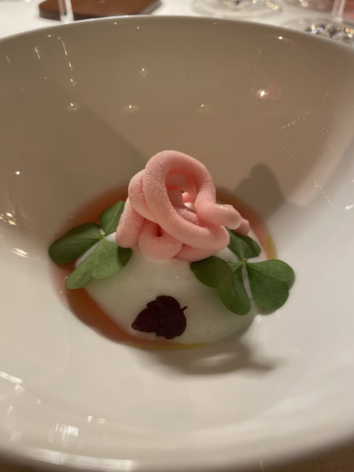 Sorbetto al rabarbaro con crema di latticello, lamponi e acetosella