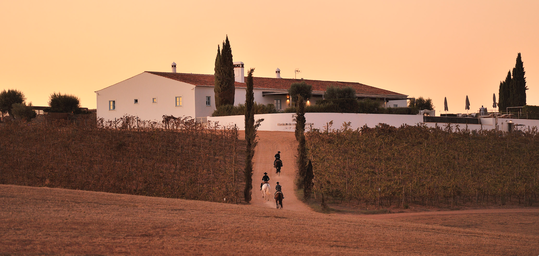 Malhadinha: Coração do Alentejo