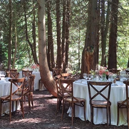 The Taste of Time: Slow Gastronomy Among the Apple Trees of Obelynė