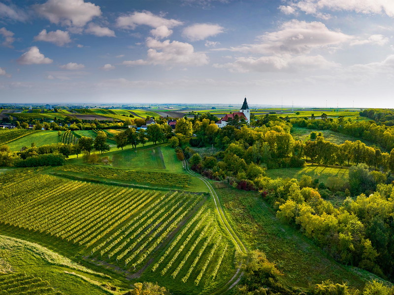 Die Ried Kirchenberg in Stillfried.