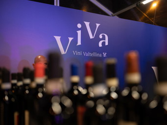 A Sondrio torna ViVa - Vini Valtellina, tre giorni dedicati al Nebbiolo delle Alpi