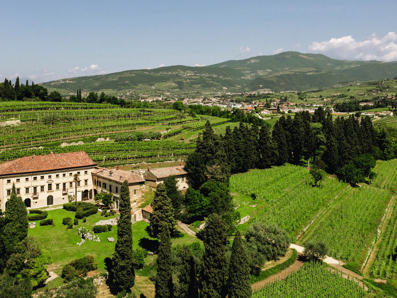Tenuta Villa Bellini, nel cuore della Valpolicella Classica.
