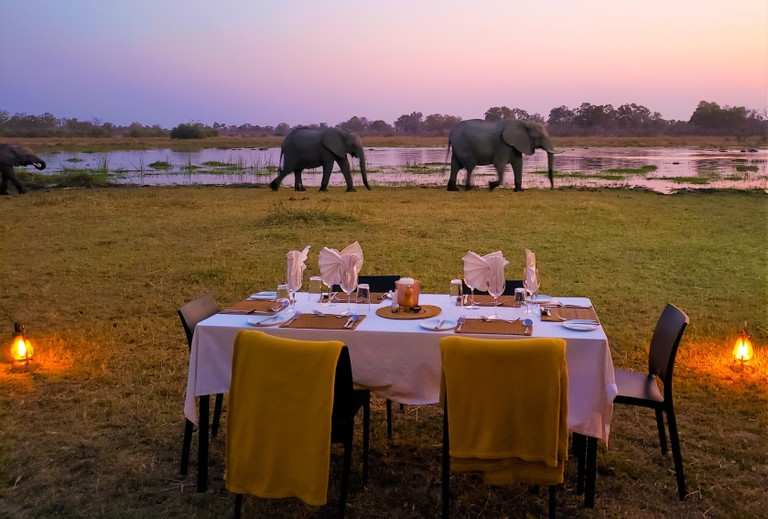 Für viele ein Lebenstraum: Auf Safari in Botswana