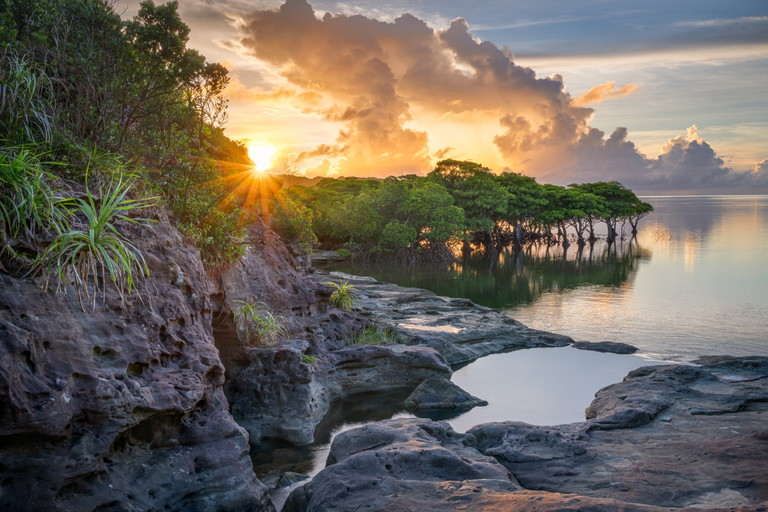 Weniger bekanntes Reiseziel: Iriomote, Okinawa, Japan

