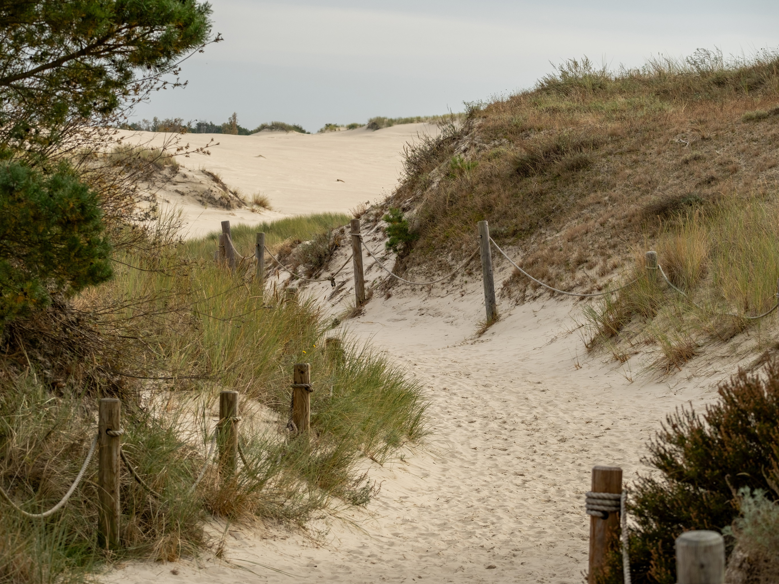 Sanddünen im Słowiński-Nationalpark