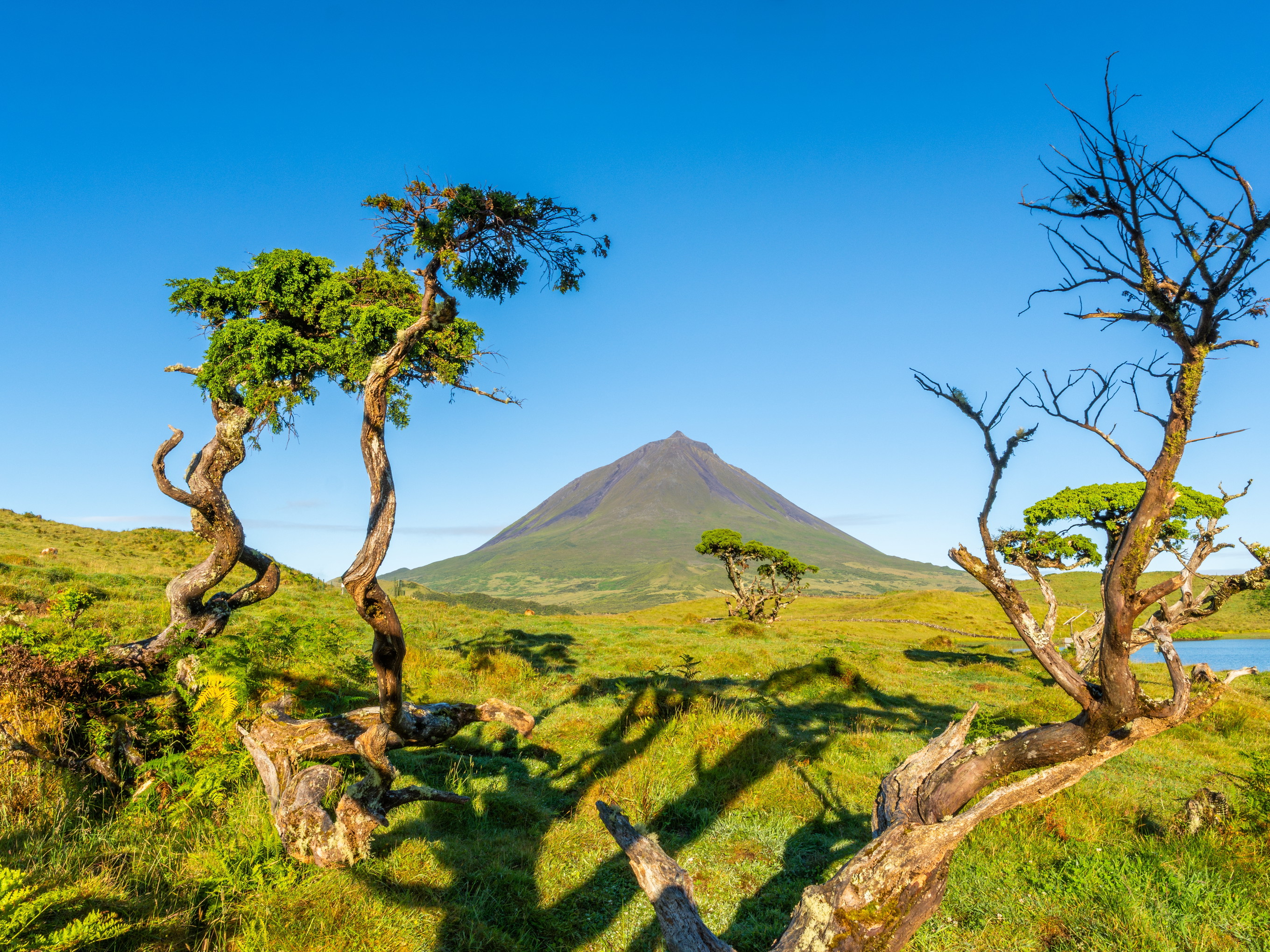 Pico Island, Azoren, Portugal