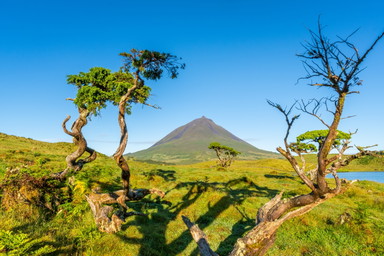 Wohin im August? Das sind die 7 besten Reiseziele 2026