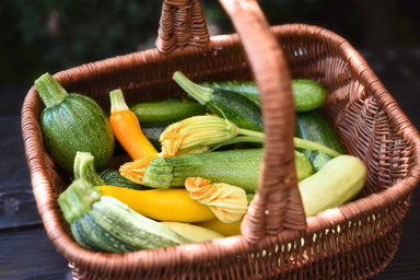 Einlegen, einfrieren, einkochen: Wohin mit all den Zucchini in der Hochsaison?