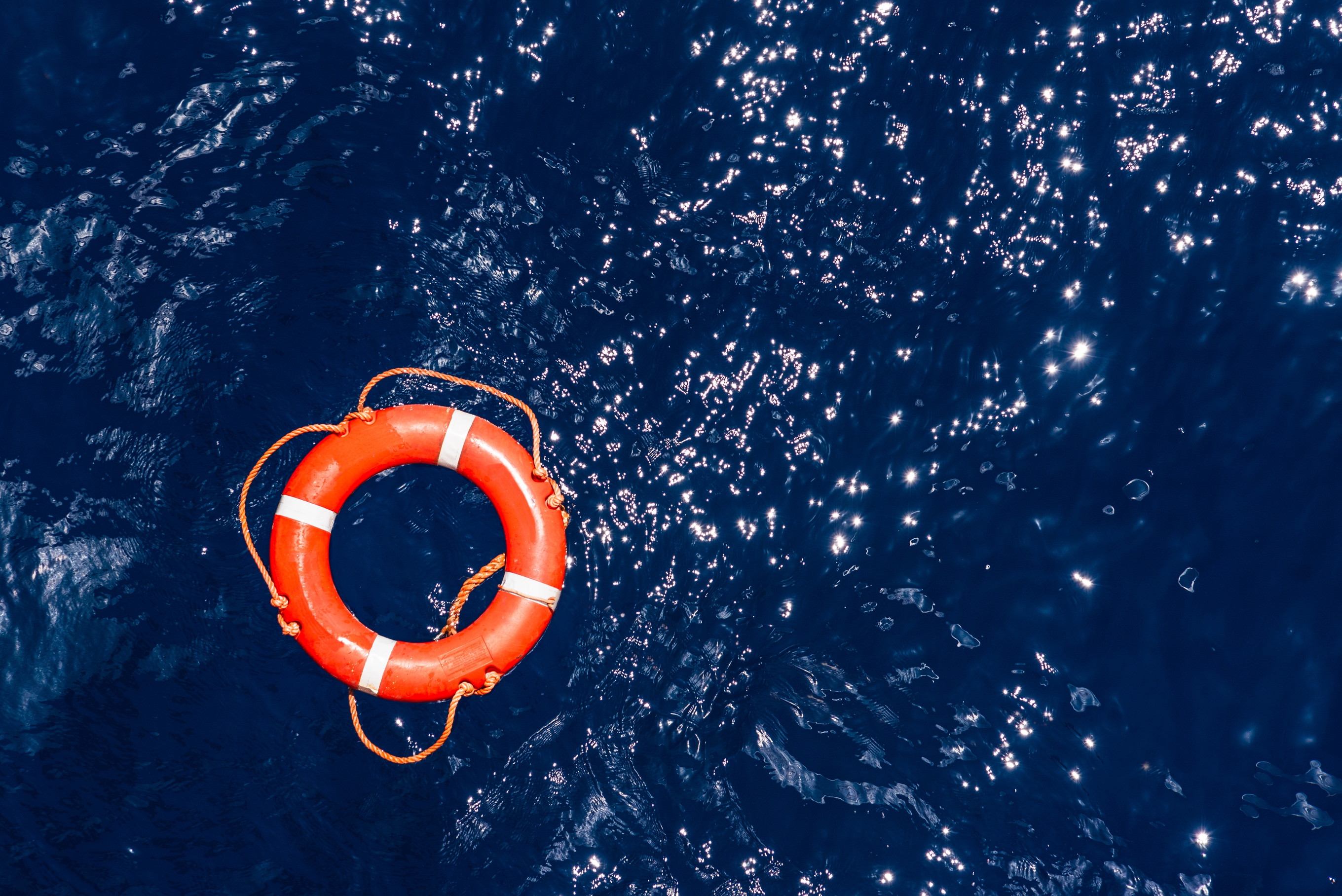 Weil sie das Schiff verlassen wollte: Frau springt bei Kreuzfahrt über ...