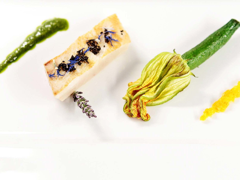Gelbschwanzmakrele mit Pesto und Zucchiniblüten