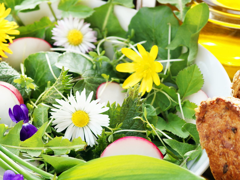 Wild Herb Salad with Confit Egg Yolk and Spelt Bread