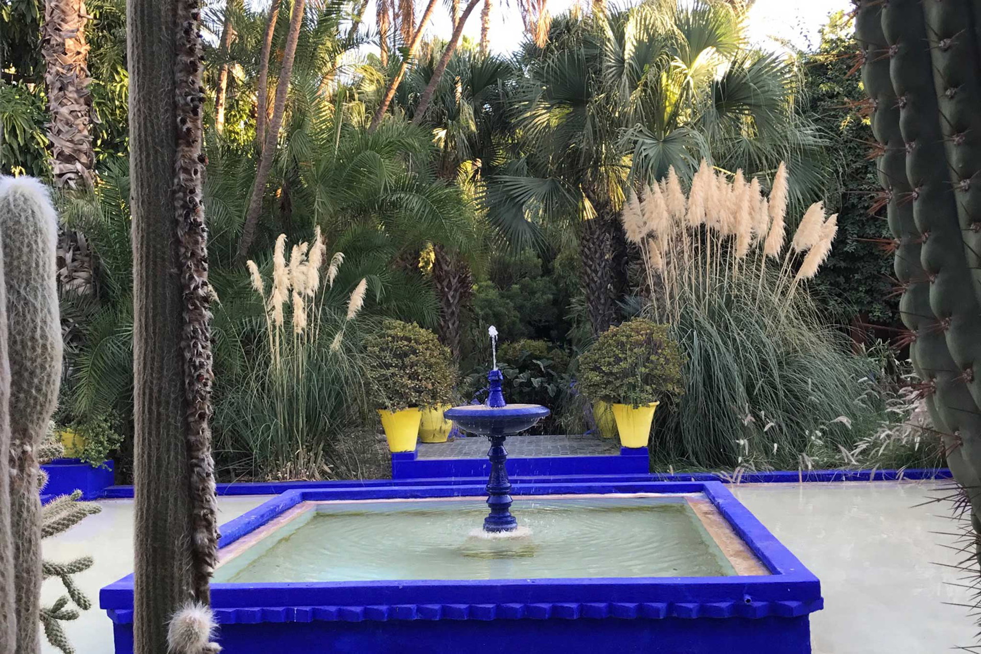 Absoluter Pflichttermin bei jedem Marrakesch Besuch ist der&nbsp;»Jardin Majorelle«.&nbsp;Der ehemalige Garten von Modegenie Yves Saint Laurent besticht mit einer unfassbaren Schönheit.&nbsp;