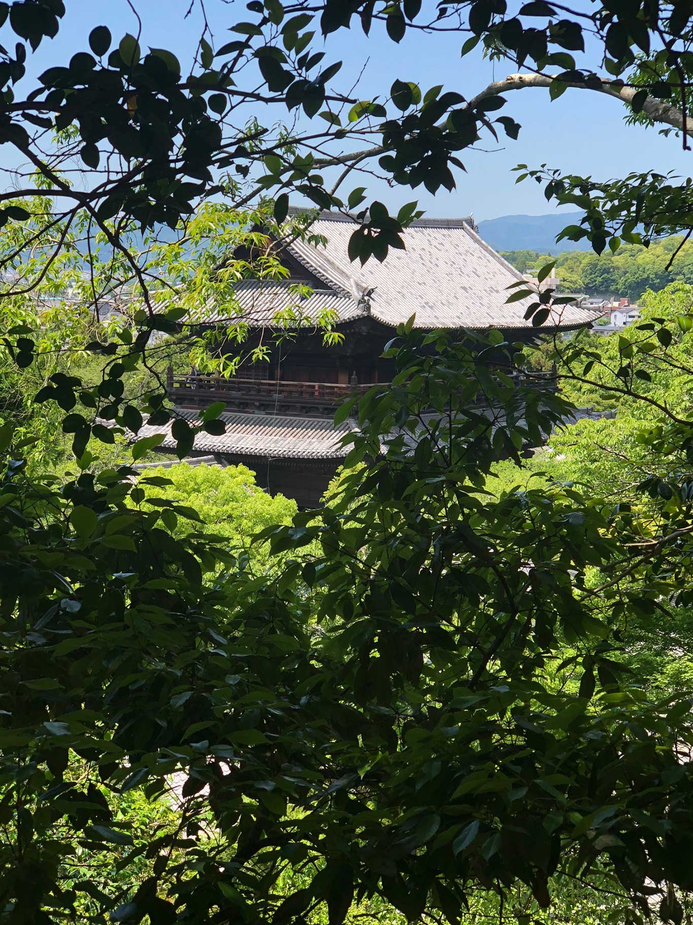 Unter grünen Blättern kann man das Dach des »Nanzenji Tempel« erblicken.&nbsp;