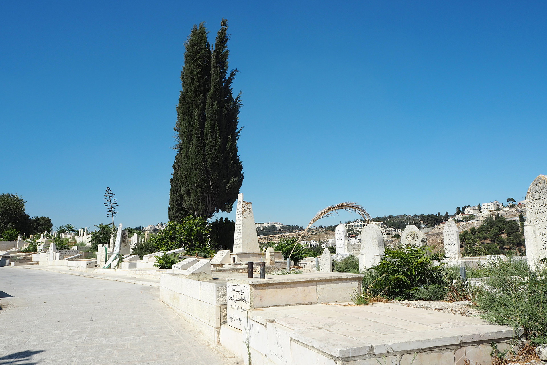 Ein israelischer Friedhof in Jerusalem.&nbsp;