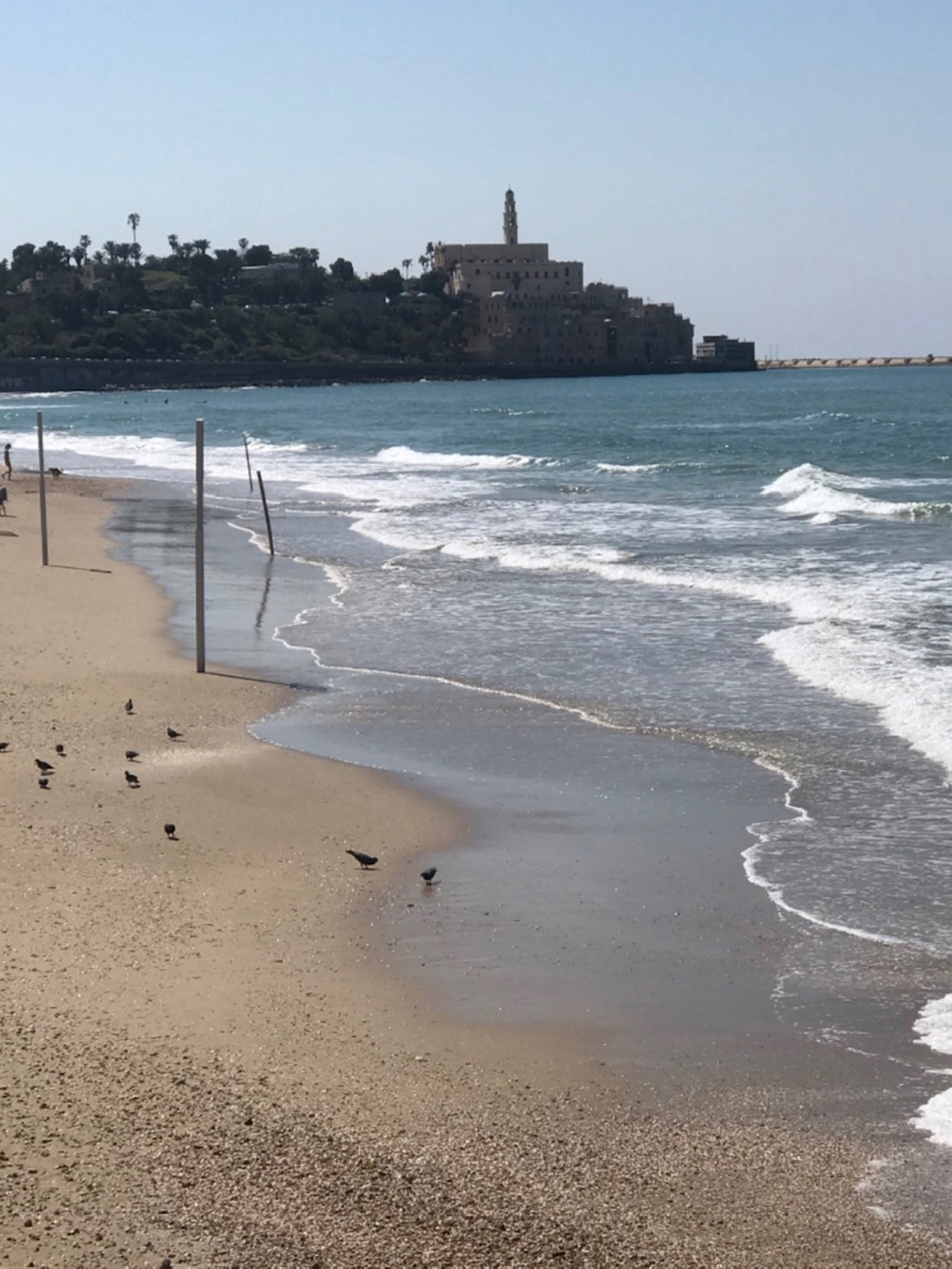 Jaffa Beach in Tel Aviv.