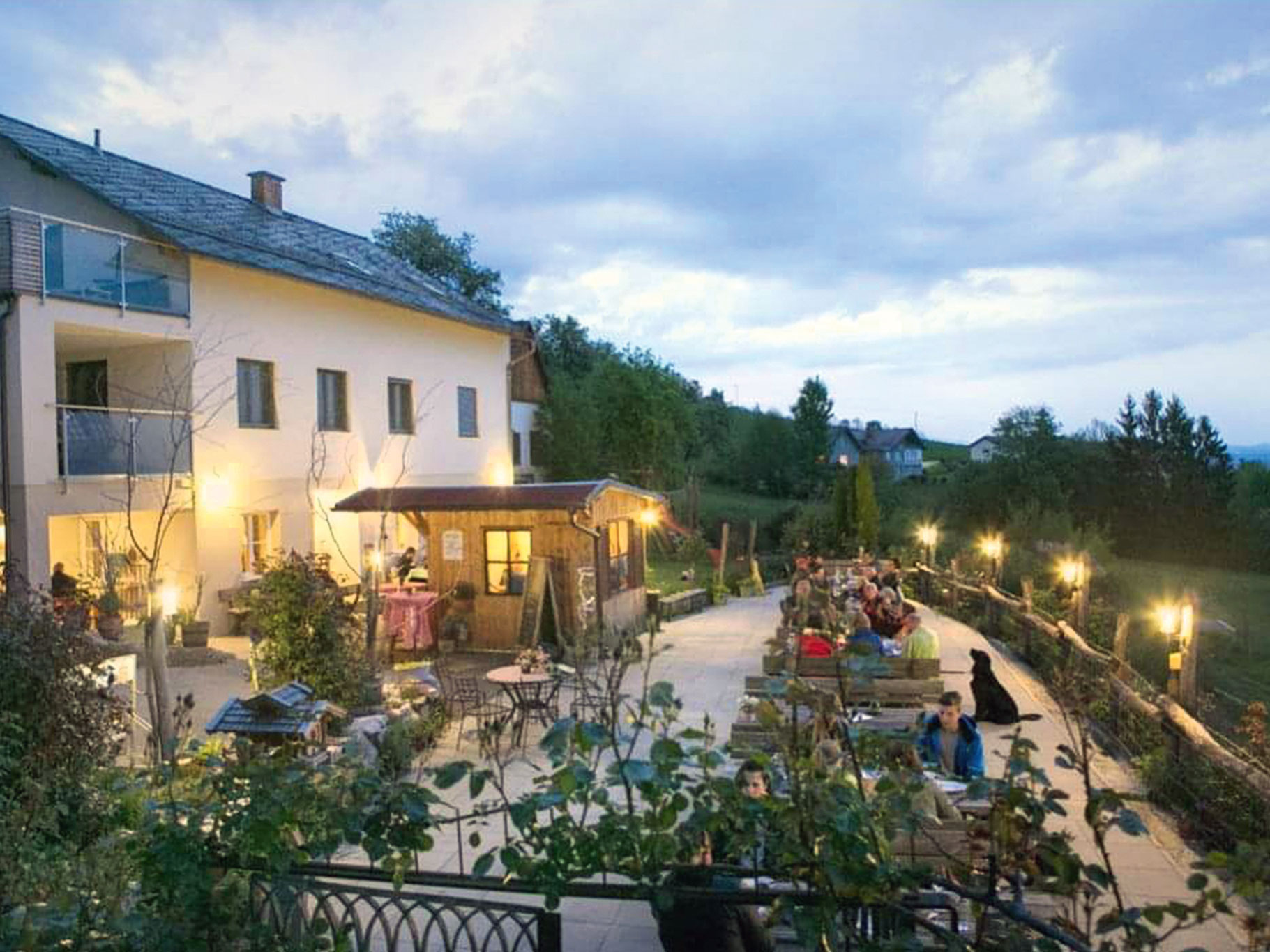 »Eingebettet in einen Rosengarten und Weinstöcke, genieße ich hier das beste und am liebe-vollsten angerichtete Käsebrot.«&nbsp;Weinhof Postl, Hartberg, weinhofpostl.at