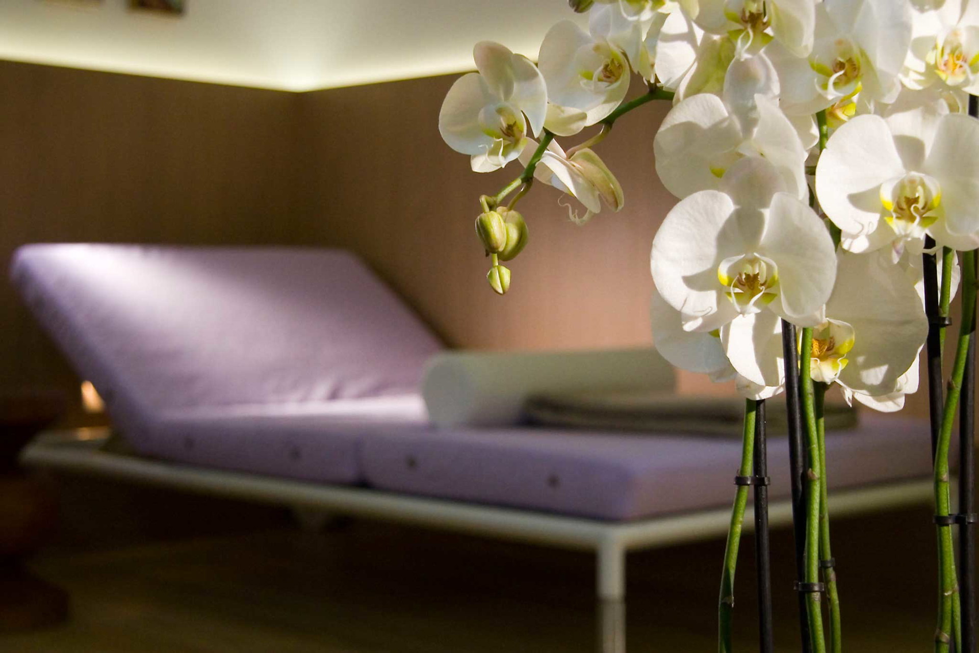 Verwöhnen Sie sich mit einem erholsamen Sans Souci Day Spa.&nbsp;sanssouci-wien.com/spa-und-fitness