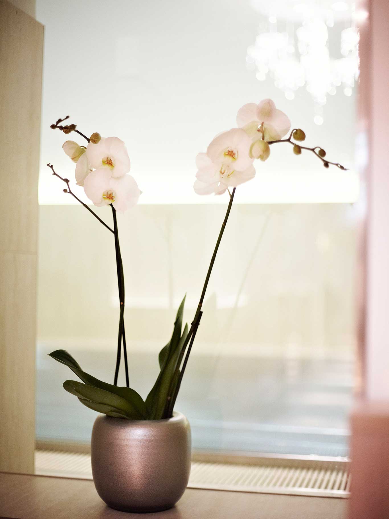 sanssouci-wien.com/spa-und-fitness