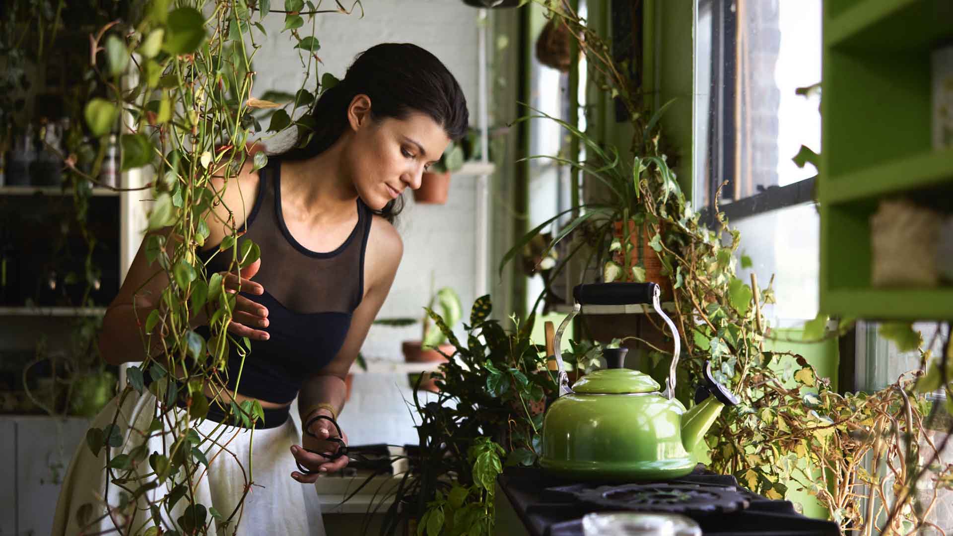 Interior-Trend: Zimmerpflanzen - Falstaff Living