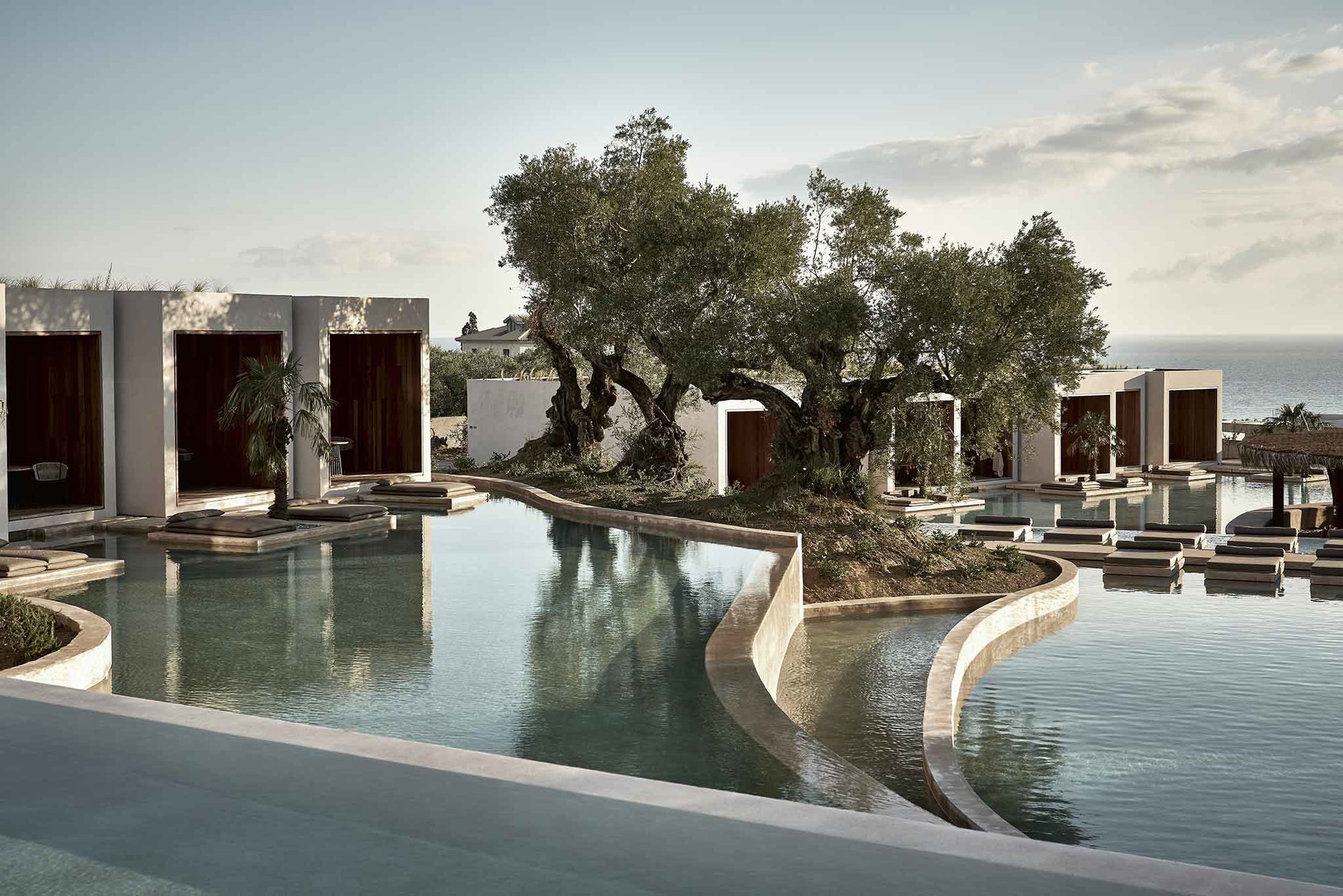 oleaallsuitehotel.com