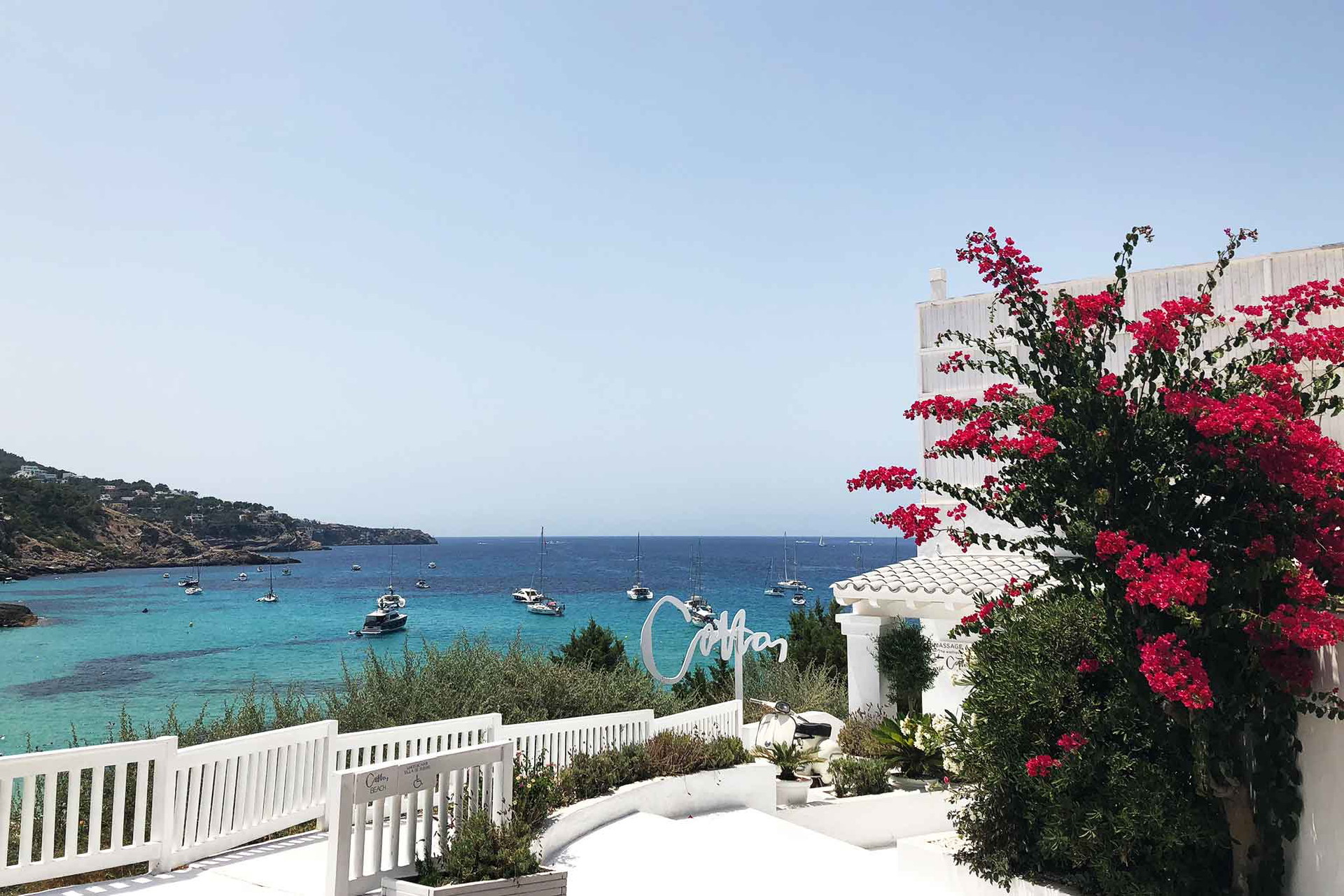 cottonbeachclub.com