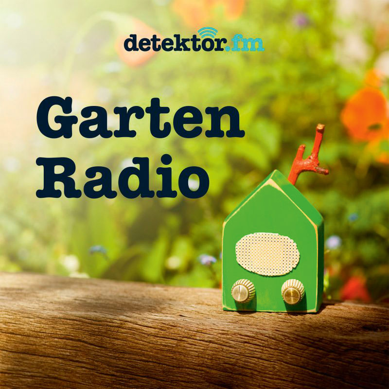 Gartenradio: Wie unerschöpflich das Thema Garten und Pflanzen ist, sieht man an diesem Podcast, der sich seit fast fünf Jahren der gezähmten Natur widmet. Die Kunst besteht auch darin, nicht zu langweilen, und deswegen wird in den Episoden auch immer wieder über die eigene Hecke hinausgedacht.&nbsp;