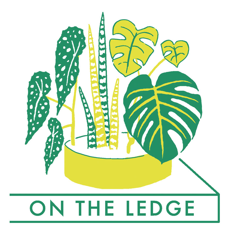 On the Ledge: Jane Perrone ist eine Koryphäe auf dem Gebiet der Zimmerpflanzen. Und zurzeit eine gefragte Frau, schließlich ist Urban-Indoor-Gardening der Hype der Stunde. Wer mit Kakteen, Sukkulenten und Monstera alles richtig machen will, hört also hier rein und hilft dem grünen Daumen auf die Sprünge.