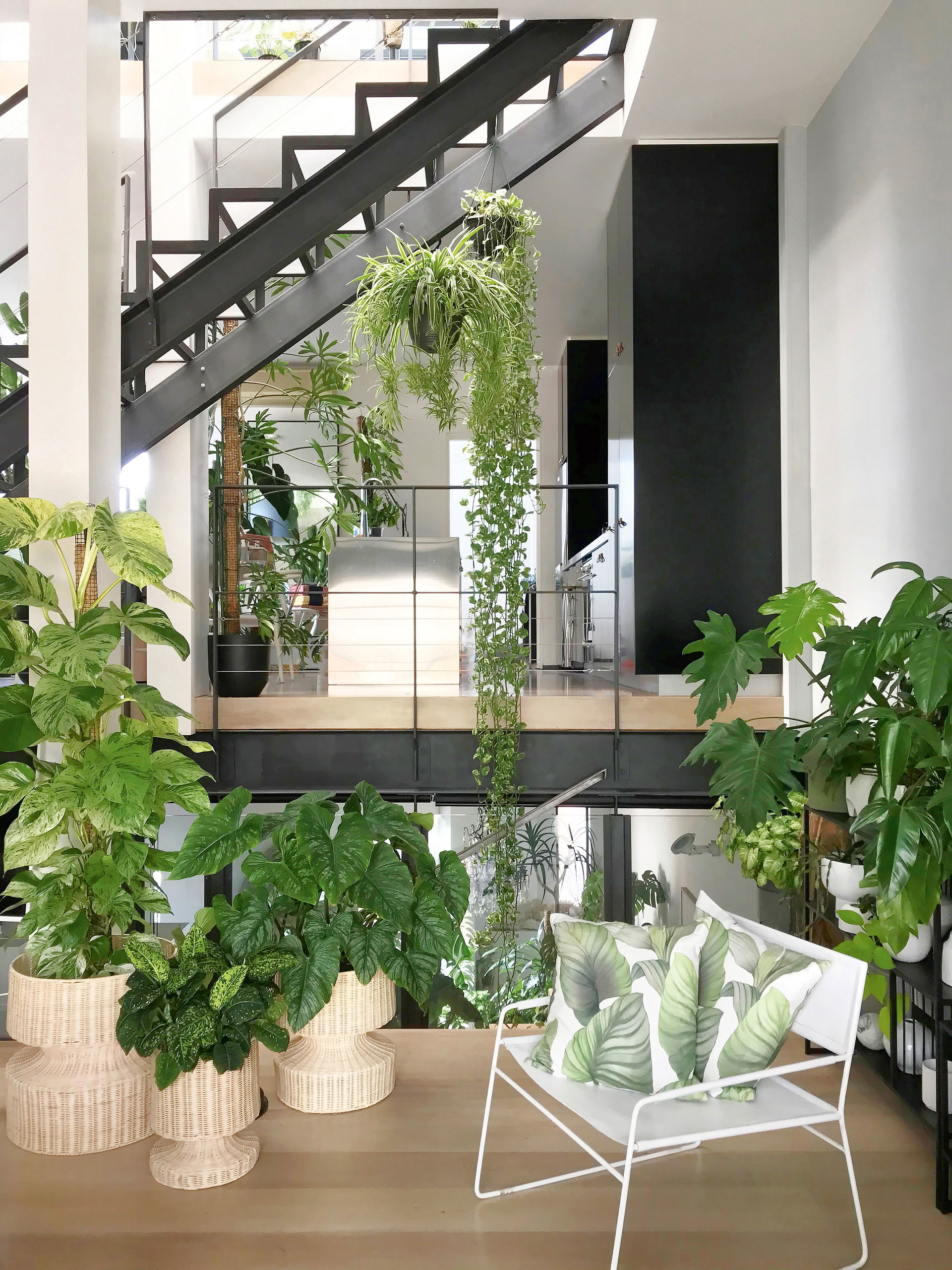 Stilvoller Urwald: Urban-Jungle-Homes müssen nicht überladen sein, um in voller Pracht zu erstrahlen: Craig Miller-Randle zeigt, dass man Pflanzensettings auch modern inszenieren kann. Auf Instagram (@craigmilran) zählen er und sein Interiorbrand MRD fast 250.000 Follower. mrdhome.com.au