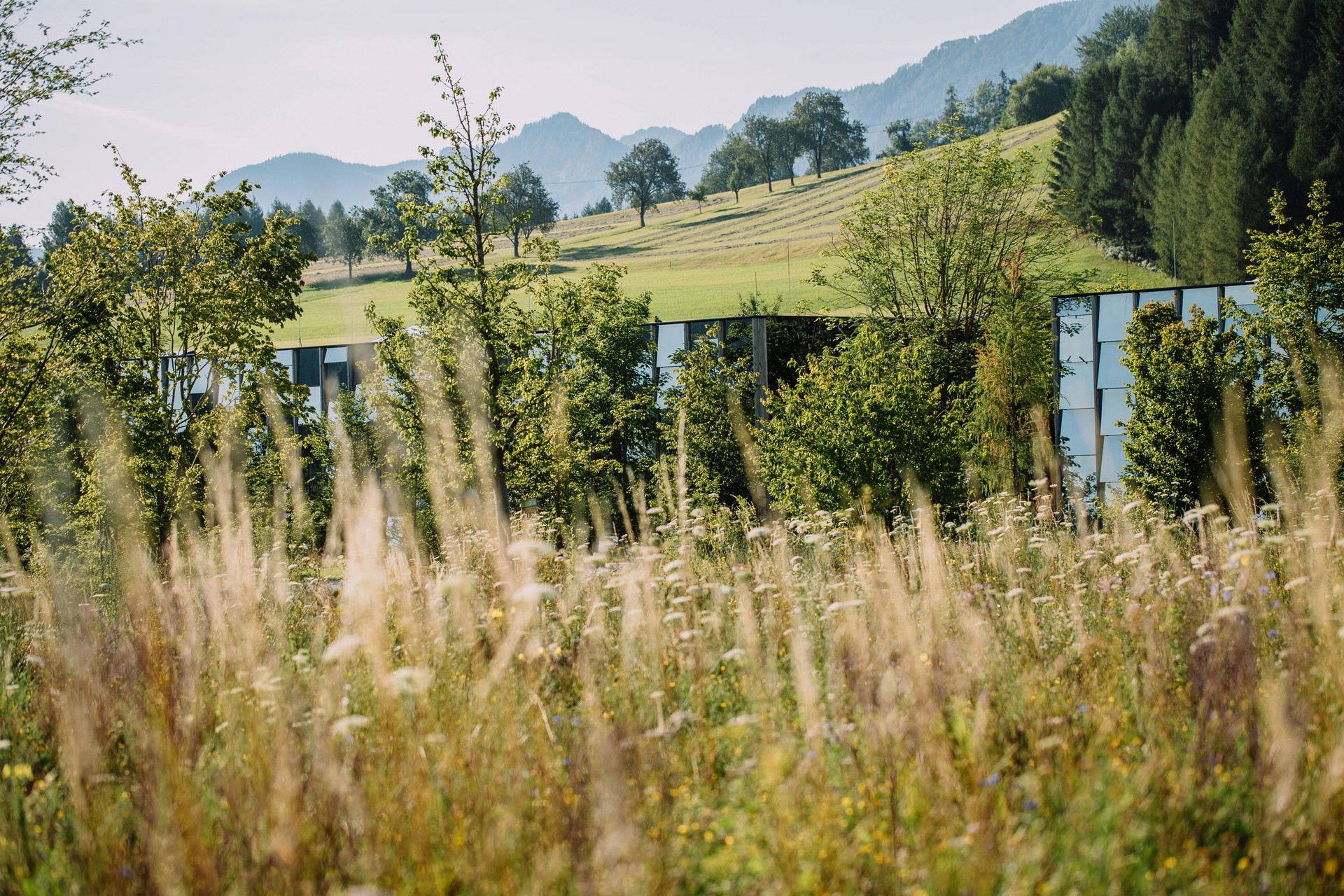 Coole Camouflage: Sanft eingebettet in die Natur ist der Firmensitz von Grüne Erde in Scharnstein. Im Inneren sorgen 13&nbsp;Inseln heimischer Flora für Licht, Luft und Kühlung. terrain.eco