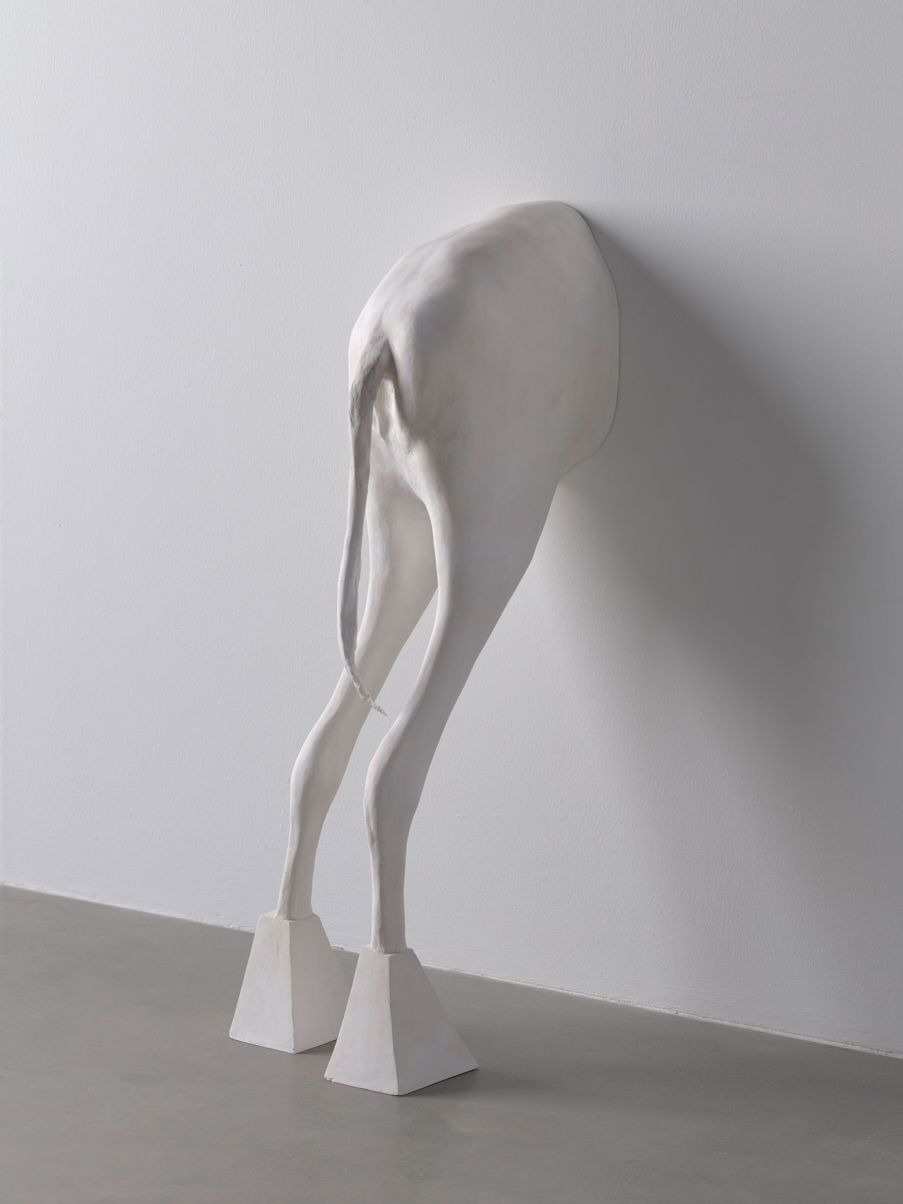 Ausstellung »Not Vital. IR« im Museum der Moderne Salzburg
