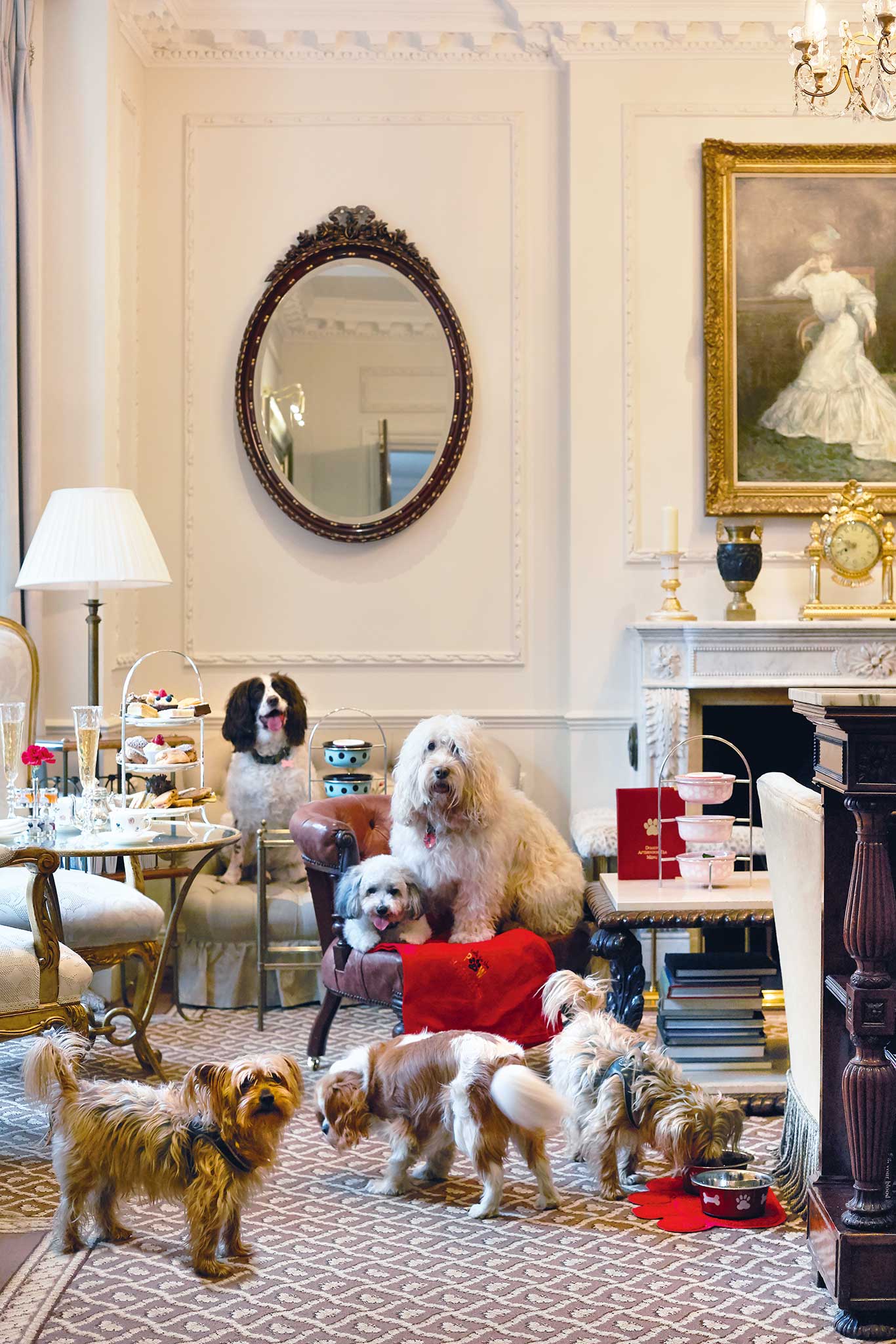 Doggy Afternoon Tea&nbsp;Für 25 Pfund kann man den&nbsp;eigenen Vierbeiner verwöhnen lassen. Das »Egerton House&nbsp;Hotel« in London bietet täglich Termine für einen tierischen&nbsp;Afternoon Tea an, der im eleganten Dining Room eingenommen wird. Die Besitzer kommen dabei aber kulinarisch auch nicht zu kurz. egertonhousehotel.com