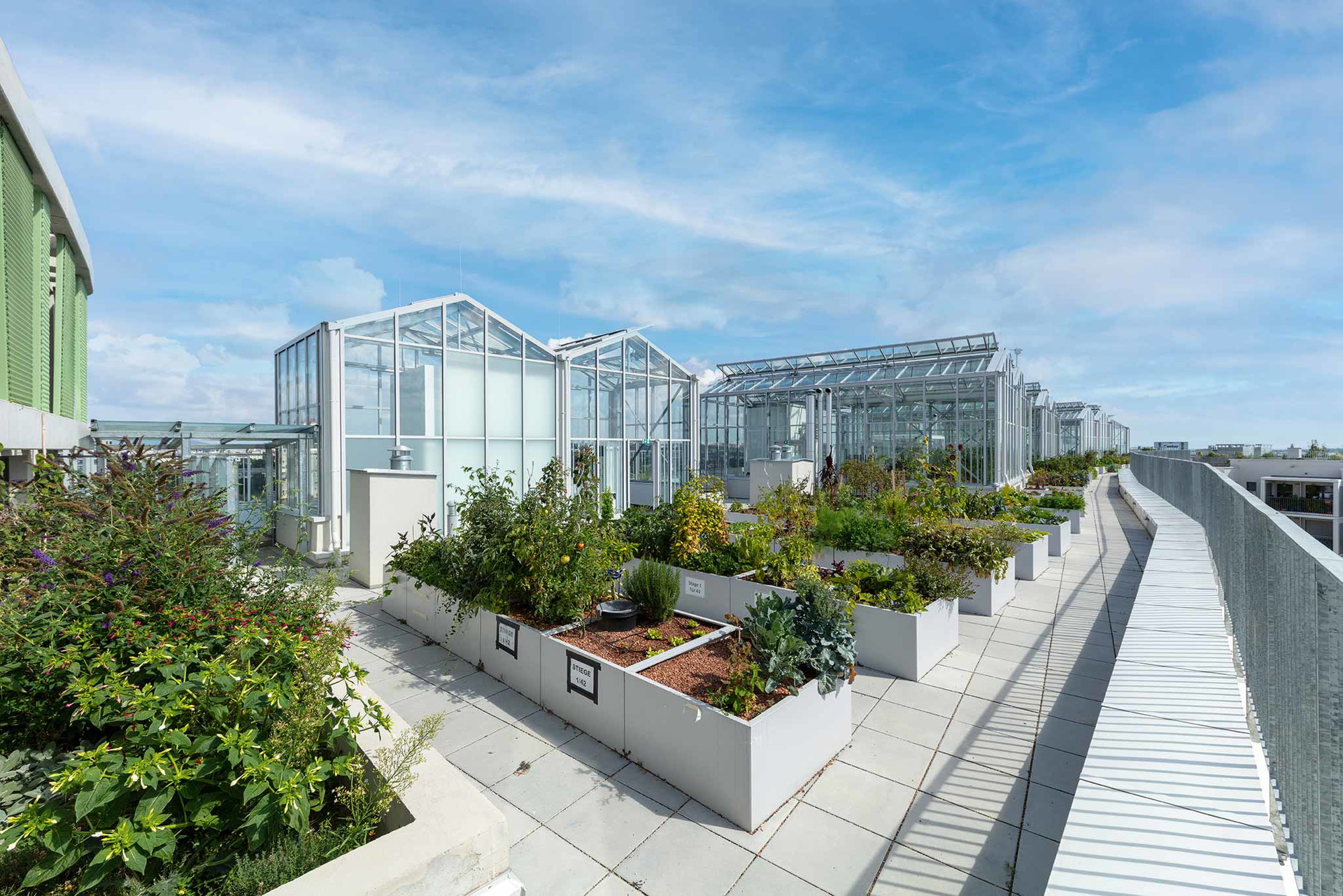 Erntelaa&nbsp;Der Wohnpark Alterlaa mit seinen Terrassen machte es vor, jetzt bekam er einen grünen Nachbarn. ERnteLAA heißt er und&nbsp; bietet das volle Gärtnereiprogramm für seine Bewohner:innen am Dach und an der Fassade. Hier will man gerne zur Schaufel greifen.&nbsp;buwog.at