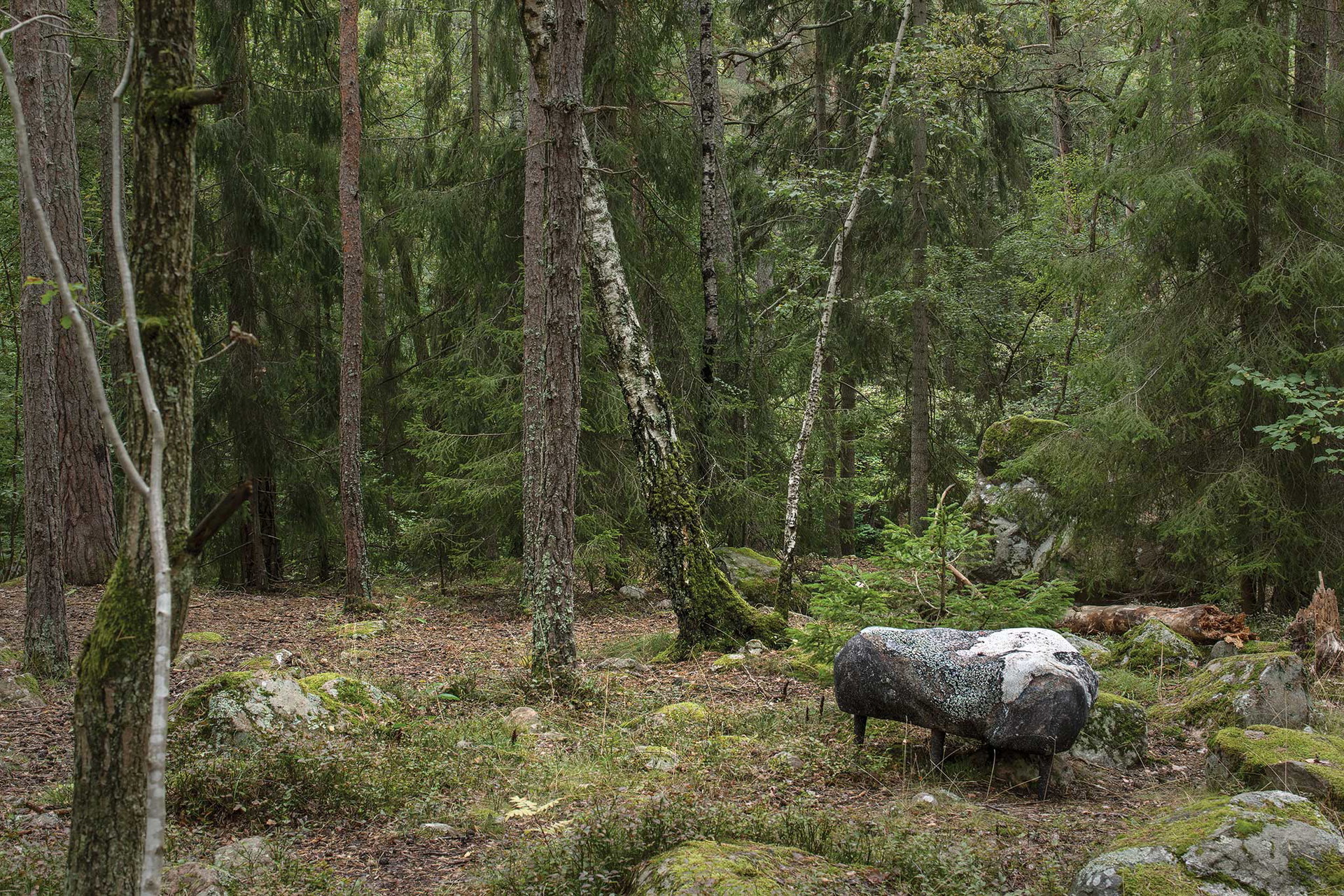 Moos am Stuhl&nbsp;»Design by Nature« nennt sich dieses ungewöhnliche Möbel-projekt, das die Wildnis ins Wohnzimmer holt. Mittels 3D-Technik wurden Landschaften gescannt und auf Sitzgelegenheiten übertragen. frontdesign.se
