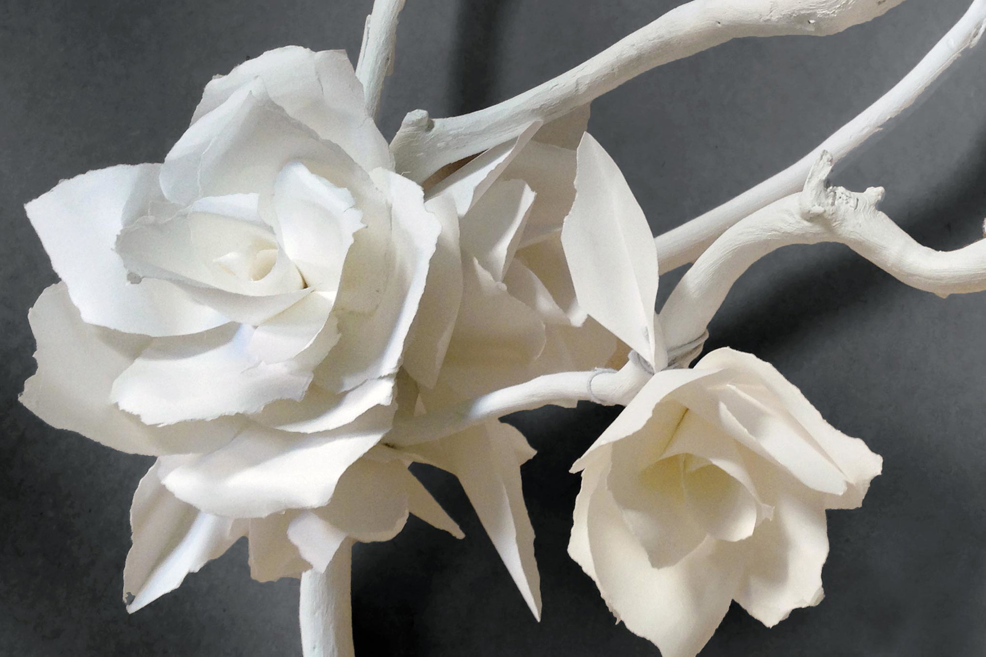 Poesie aus Papier Georgie Secculls weiße Riesenblüten für die Mercedes- Benz Fashion Week in Sydney. georgieseccull.com