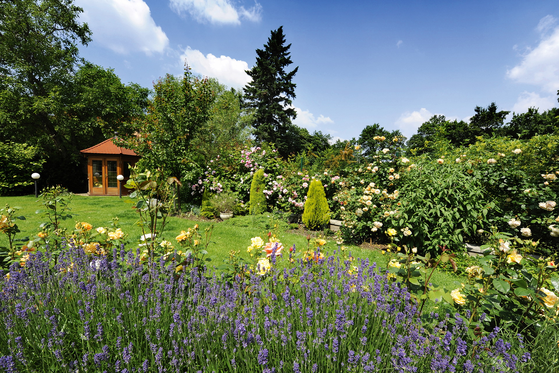 Bunte Vielfalt Besonders schön wird der Garten mit einem wilden Mix aus Blumen, Sträuchern und Bäumen.