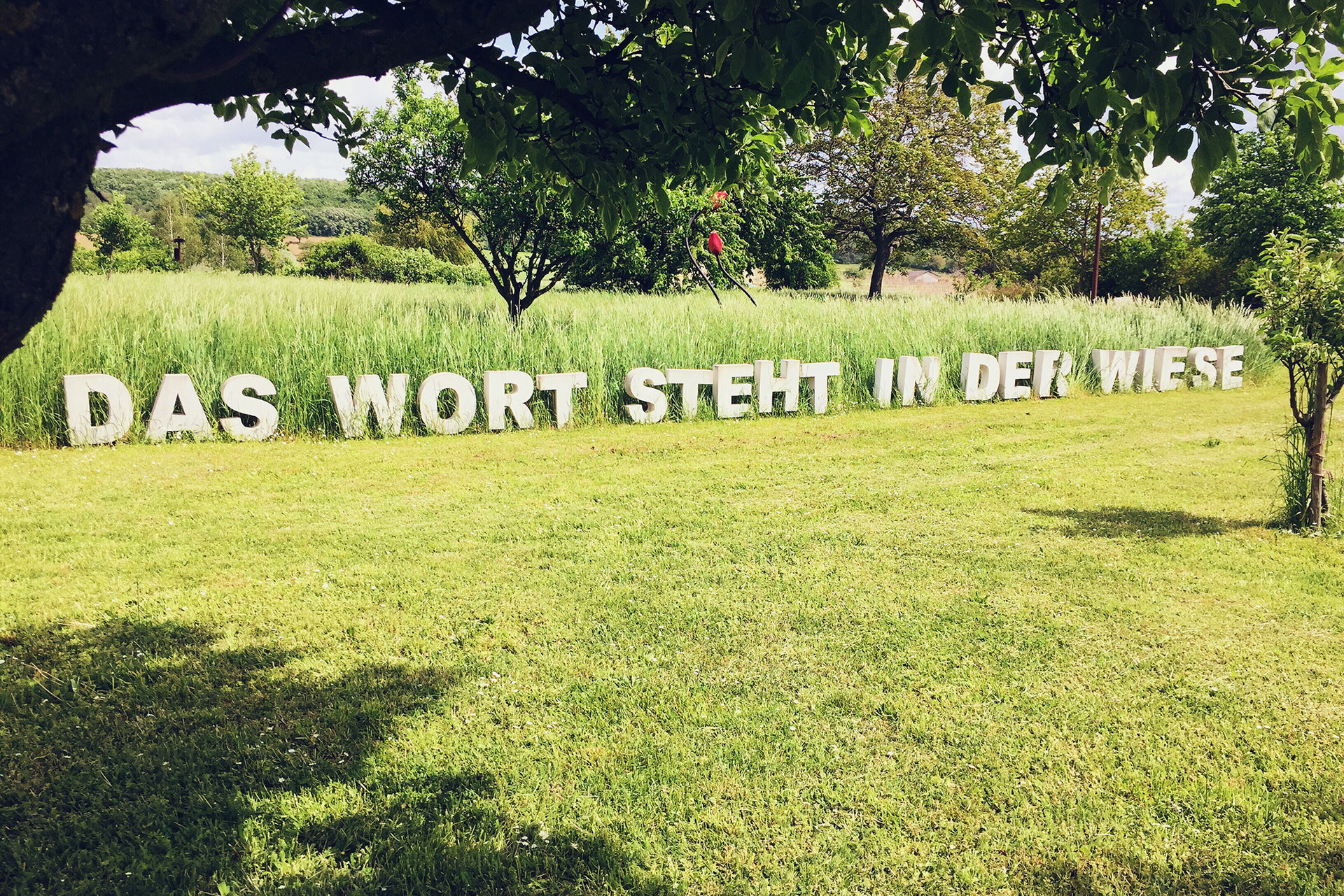 Johannes Haider: »Das Wort steht in der Wiese«