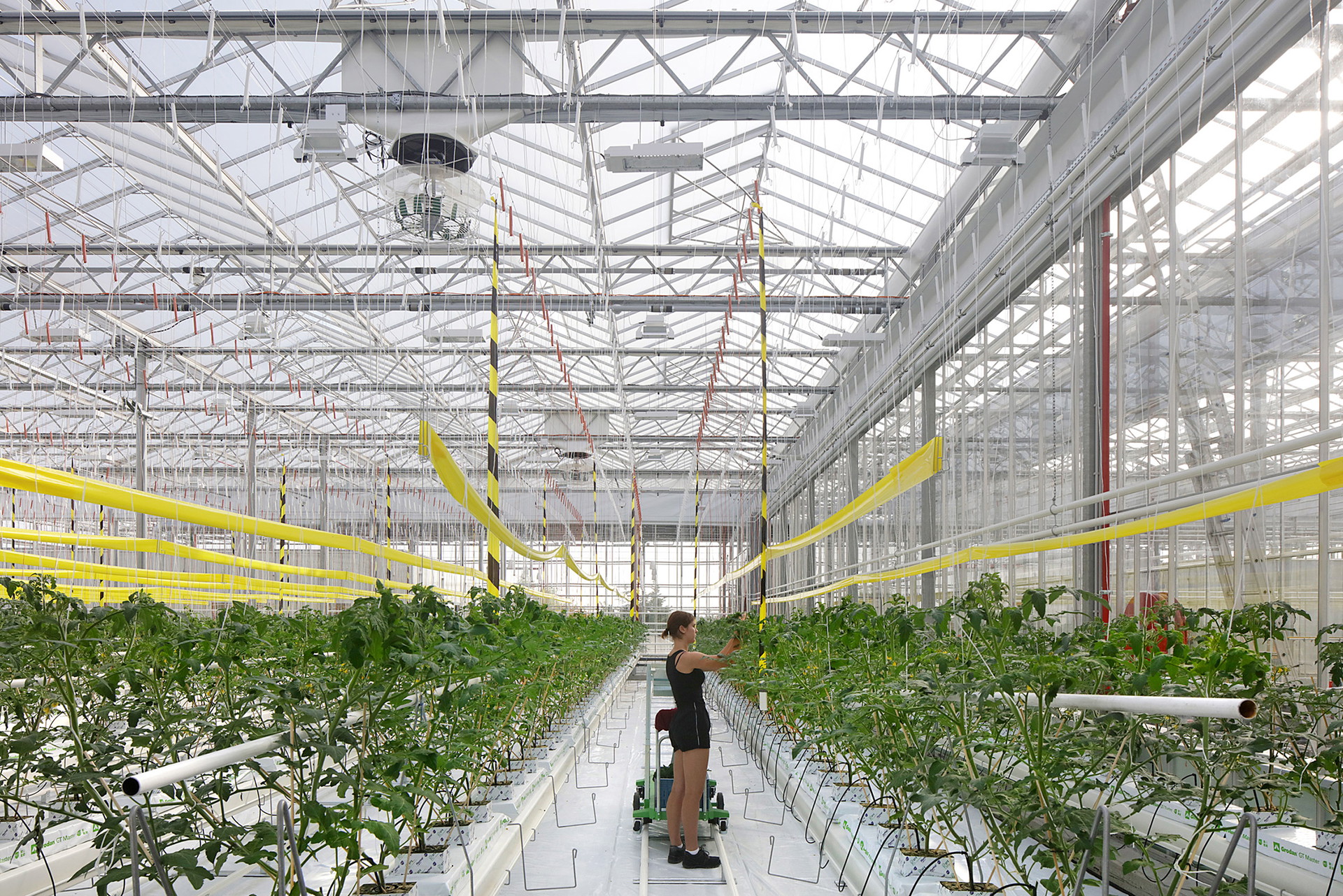 »Agrotopia« erstreckt sich über eine Dachfläche von 9.500 Quadratmetern in der belgischen Stadt Roeselare.&nbsp;vanbergenkolpa.nl