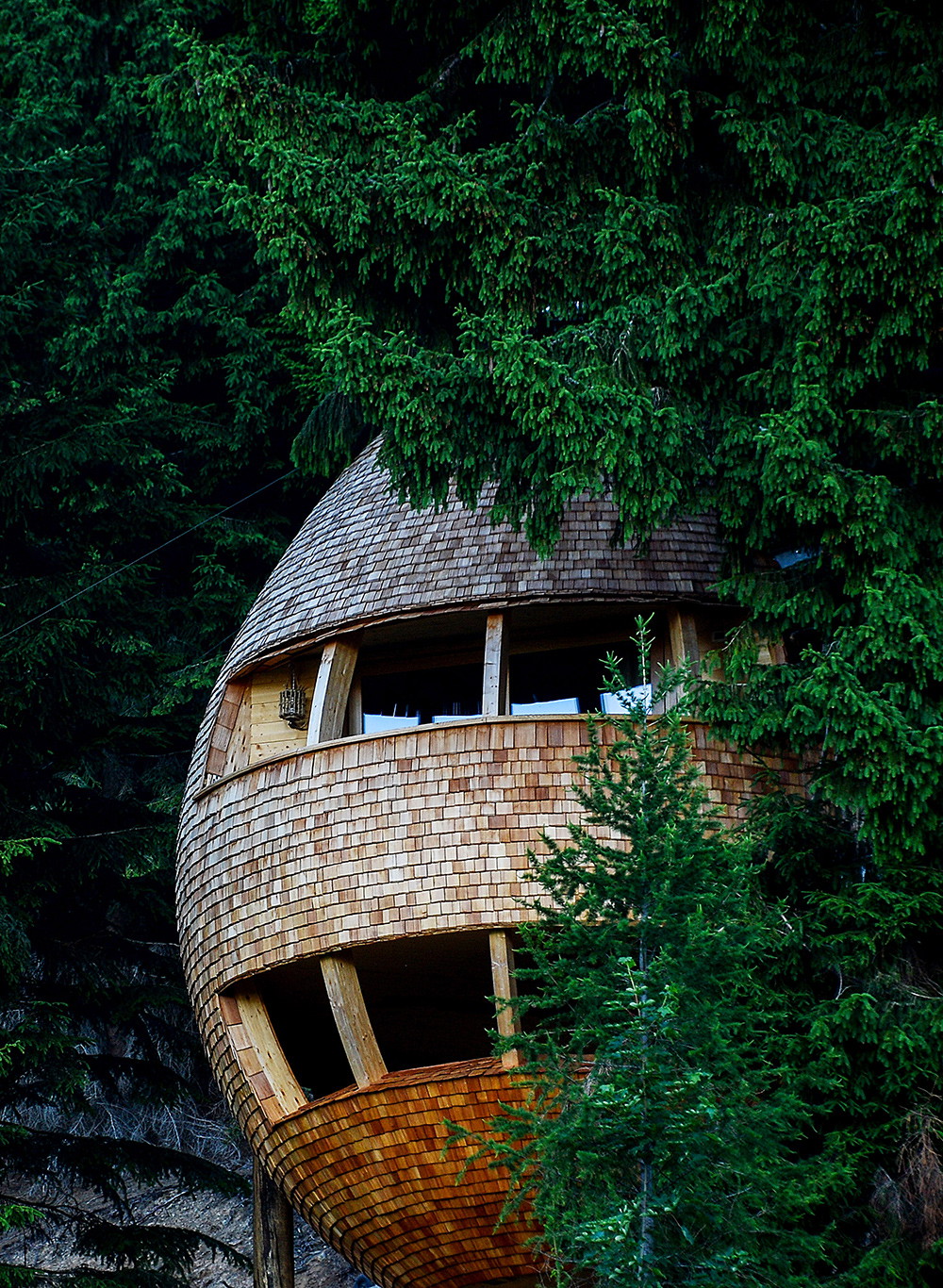 Pigna, the treehouse – Malborghetto, Italien&nbsp;beltrame.studio