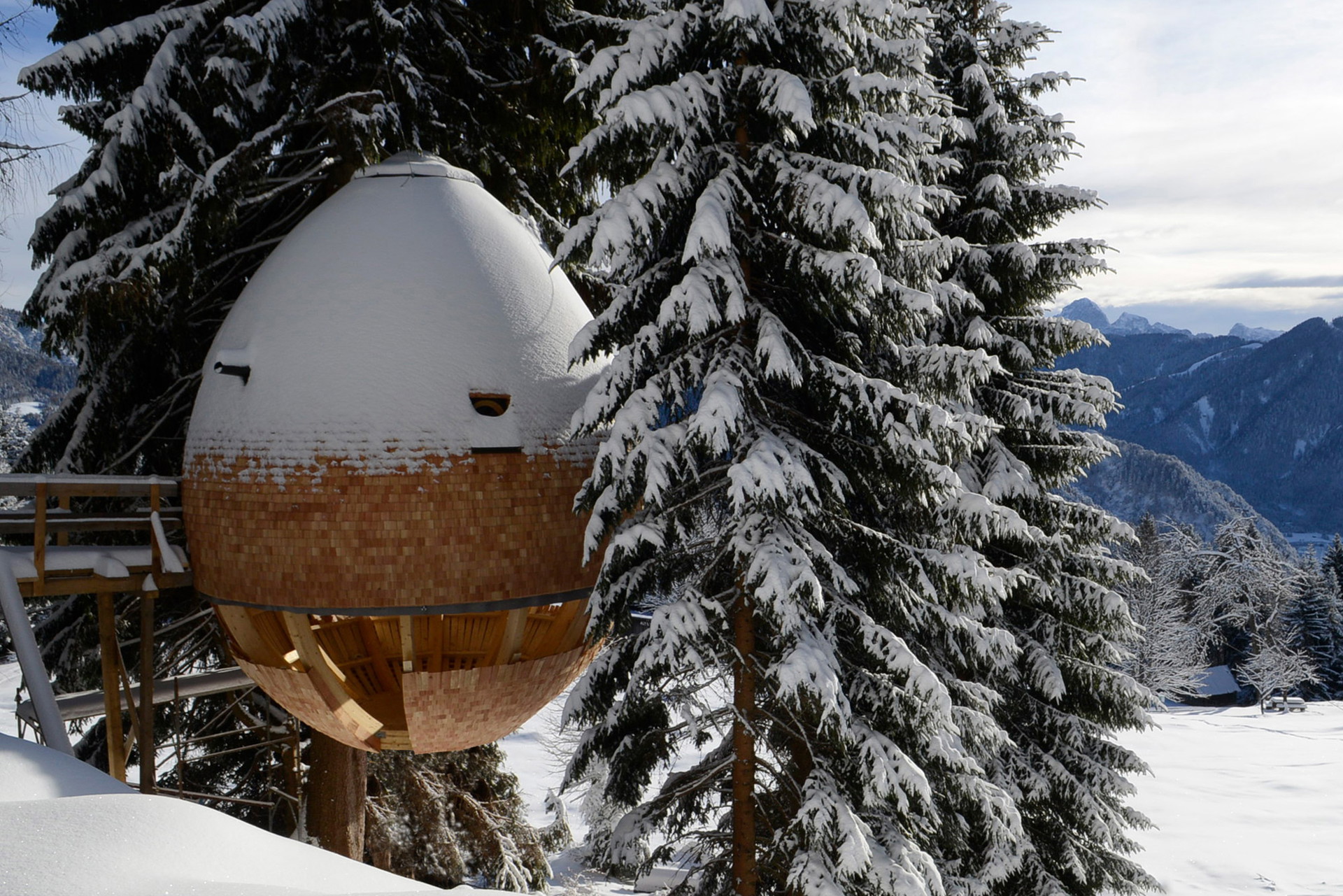 Pigna, the treehouse – Malborghetto, Italien&nbsp;beltrame.studio