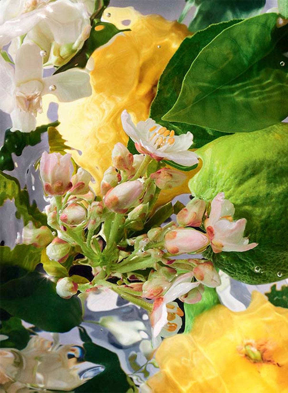 BERGAMOTTE-ESSENZ&nbsp;Diese kostbare, auch »grünes Gold von Kalabrien« genannte Frucht verleiht eine exquisite zitrursartige blumig-grüne Frische.&nbsp;guerlain.com