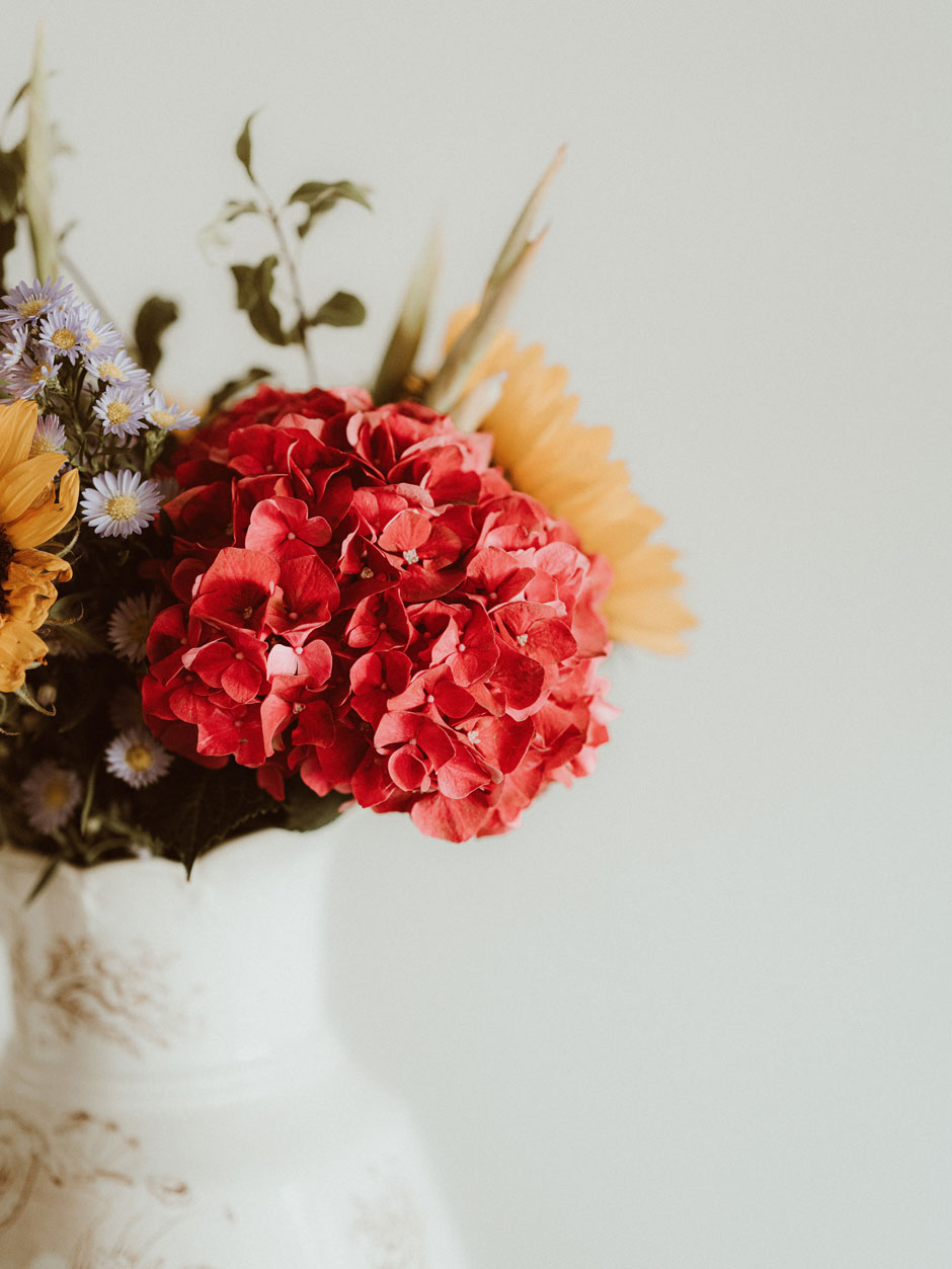 Trotz voluminösen Blüten, fügen sich Hortensien gut gemeinsam mit anderen Blumen ein.