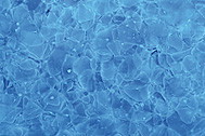 »Ocean Blue« besteht aus recycelten Mineralflaschen.