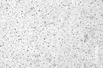 Aus alten Einscheibensicherheitsglas entsteht die Farbe »Raindrop Clear«.