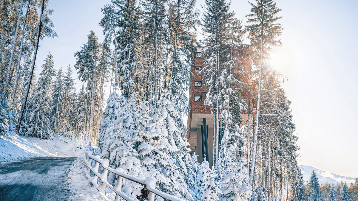 Über allen Wipfeln: Ein Kindertraum wird wahr: Das Fünf-Sterne-Wellnesshotel »My Arbor« ist ein stylishes Baumhaus. my-arbor.com
