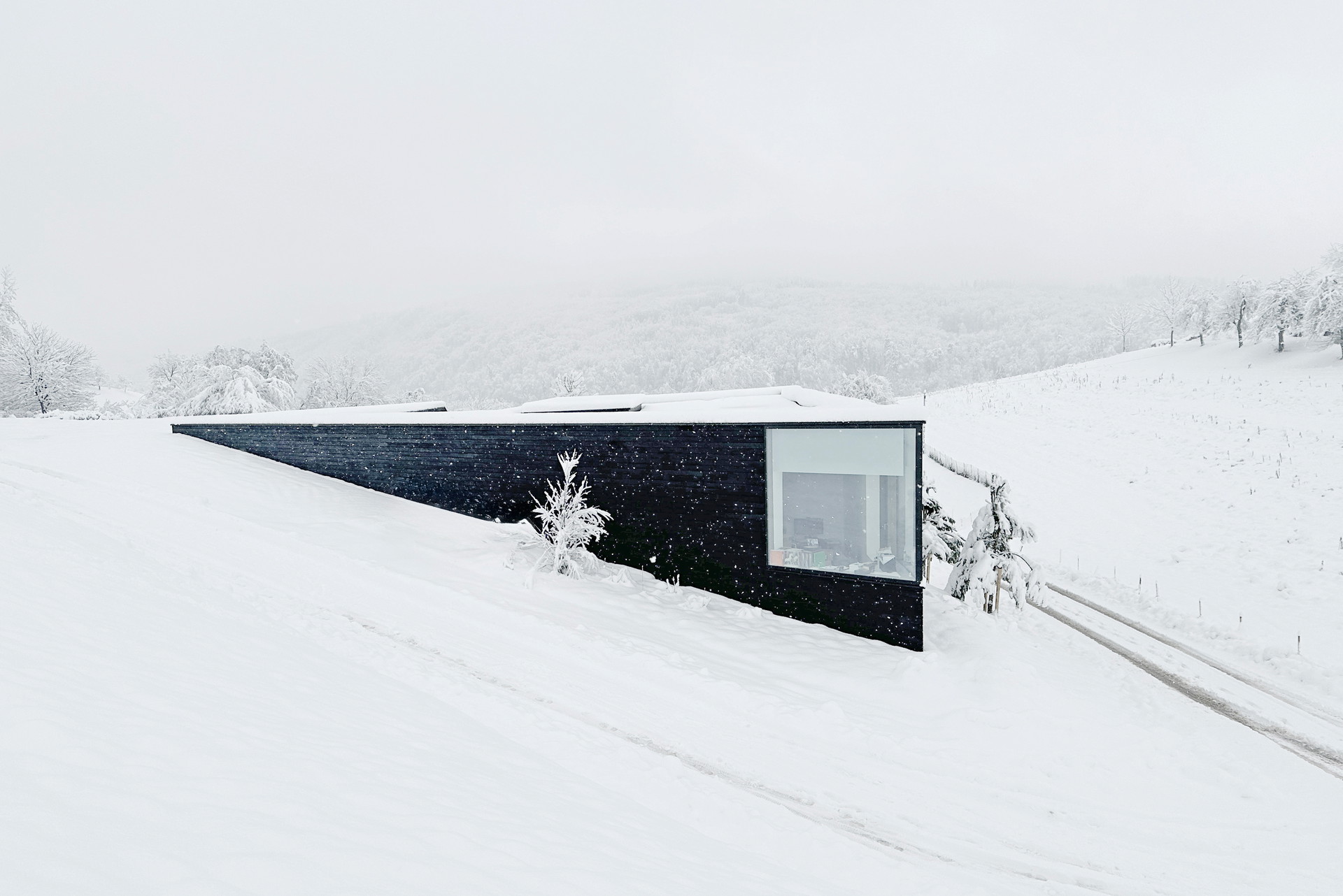 Haus Arslan, Ottensheim. Wie ein schwarzer Keil, mit einem Skalpell 
aus dem Schnee herausgeschnitten, ragt 
das Objekt als prismatischer Baukörper aus der oberösterreichischen Winterlandschaft heraus. In einem starken Kontrast zum Schnee ist das Haus mit schwarzem, verkohltem Yakisugi-Holz 
verkleidet. xarchitekten.at